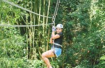 Dunn's River Falls and Park Tour with Zip Line from Montego Bay 