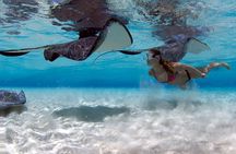 Cayman 3 in 1 Combo Adventure Stingray City Reef Snorkeling