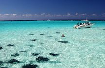Cayman 3 in 1 Combo: Starfish Point, Stingrays and Reefs