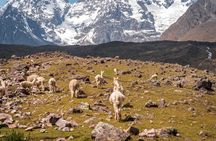 3 Days All Inclusive Ausangate to Rainbow Mountain Trek