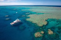 Great Barrier Reef Snorkeling and Diving Cruise from Cairns