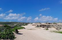 Private Tour 4x4 Jeep by cross aruba tours