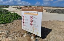 Private Tour 4x4 Jeep by cross aruba tours