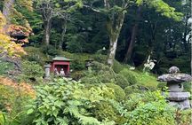 Nikko Private Tour with Temples and Nature and World Heritage