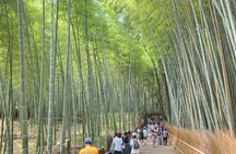 Kyoto Highlights of 6 Hour Private Car Tour
