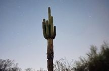Phoenix Mountains Preserve Night Glow Hike