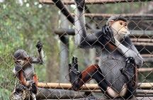 From Ninh Binh to Cuc Phuong National Park, Trekking and Jungle
