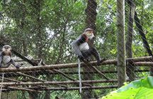 From Ninh Binh to Cuc Phuong National Park, Trekking and Jungle