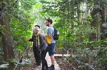 From Ninh Binh to Cuc Phuong National Park, Trekking and Jungle
