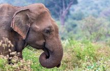 Sri Lanka 5 Day tour Best Nature and Culture include top hotels