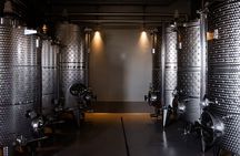 Winery tour and wine tasting in Maremma - Grosseto