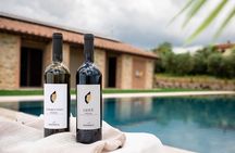 Winery tour and wine tasting in Maremma - Grosseto