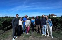 Discover Margaux : Vineyards, lunch and tastings included