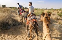 1-Night and 2-Days Thar Desert Safari Tour