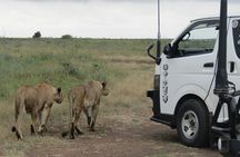 Nairobi National Park Sheldrick & Giraffe Centre Day Trip