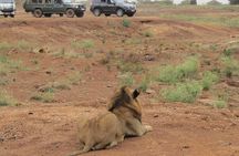 Nairobi National Park Sheldrick & Giraffe Centre Day Trip
