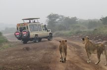 Nairobi National Park Sheldrick & Giraffe Centre Day Trip