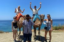  Tanger private tour cruise ship -up Luxury City Tour