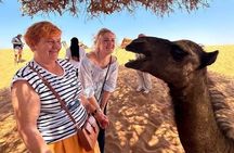 Agadir Sahara Desert with Lunch and Camel Ride