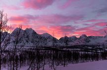 Tromso-Snowshoeing Excursion to Viewpoint
