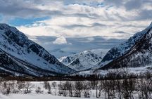 Tromso-Snowshoeing Excursion to Viewpoint