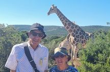 Private Full-Day Addo Elephant Park & Giraffe Walk 