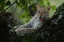 2 Days 1 Night Akagera Wildlife Safari and Kigali City Tour