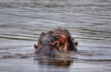 2 Days 1 Night Akagera Wildlife Safari and Kigali City Tour