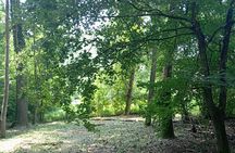 Alba Truffle Hunting, Barolo and Barbaresco Tasting