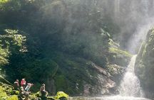 1 Day Nyungwe Canopy Walk & Waterfall Adventure