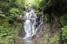 Itoshima Day Tour｜Falls, Cafe, Seafood & More (from Hakata)