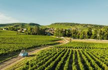 Half-day guided tour on the Burgundy wine Route in a classic car