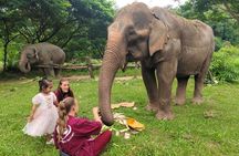 3 experiences: Doi Suthep Temple, Wat Phalat & Elephants 