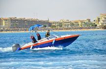 Swim With Dolphin Semi PRIVATE SpeedBoat Sea Trip - Hurghada