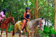 Horseback Riding with ATV, Zipline, Cenote and Tequila Tasting