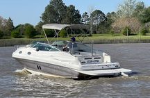 Private Day Trip to Tigre Delta from Buenos Aires