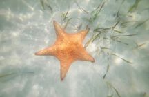 Cayman Island Eastern Districts Highlights