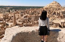 Private Siwa Oasis Full Day Tour