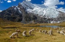Ausangate Trek And Rainbow Mountain 5 Days - All Inclusive