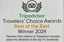 Guided Tampa Sightseeing Tour in a Deluxe Street Legal Golf Cart