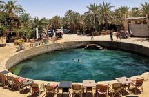 Siwa Oasis All Inclusive Tour From Cairo 
