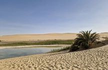 Siwa Oasis All Inclusive Tour From Cairo 