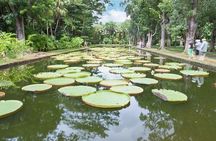 All Inclusive North Tour with Local Lunch and Entrance Fees