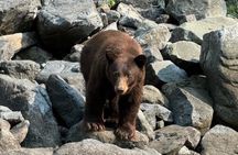 Scenic Jet Boat Tour through Hells Canyon