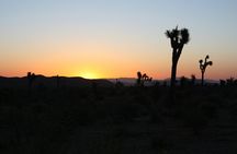 Death Valley Small Group Day Tour with Sunset and Stargazing 