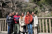 Zero Emission Car Private Kyoto Tour with Japanese Guide