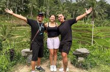 Goa Gajah / Elephant Cave Temple And Ubud Tour - All Inclusive