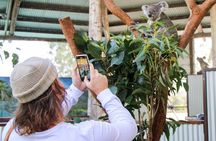 Newcastle: Animal Lovers Tour - Kangaroos, Dolphins & more!
