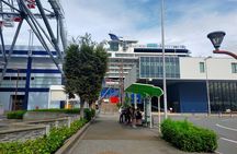 4/5/6 Hours Private Osaka Tour Designed for Cruise Passengers 