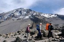  A 1-Day Kilimanjaro Hike on Machame Route with Hotel Pickup